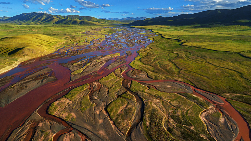 Flourishing flora and fauna a great example of Qinghai's ecological efforts