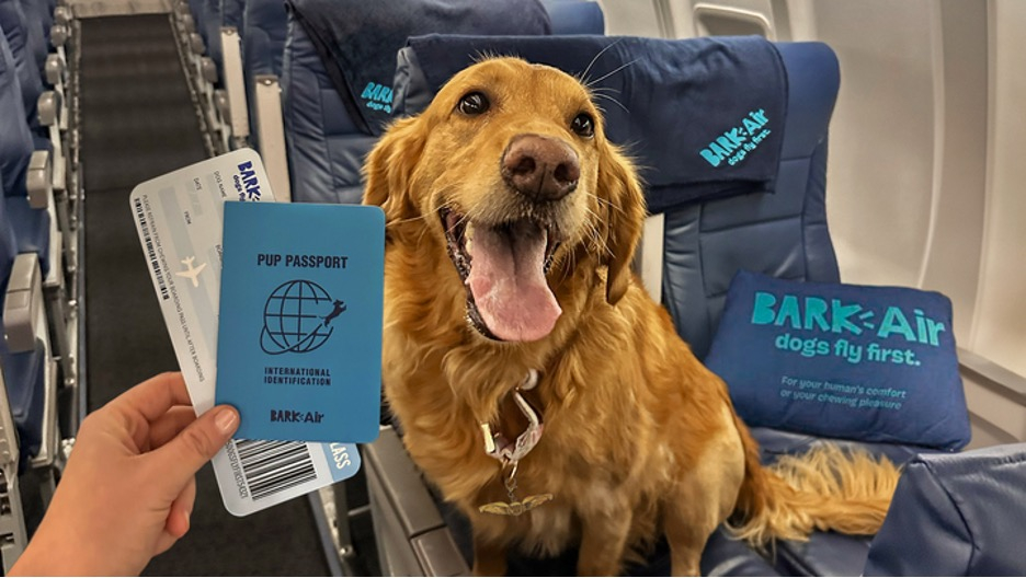 BARK Air Introduces Select Flights on Larger Planes with Lower Fares, Uniting More Dogs and Their People in the Skies