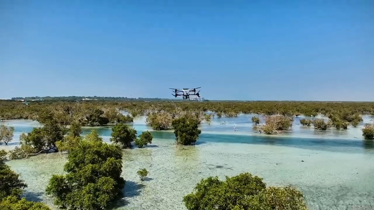 Nabat, New Abu Dhabi Climate Tech Venture, to use AI and Robotics to Restore Mangroves and Boost Climate Resilience