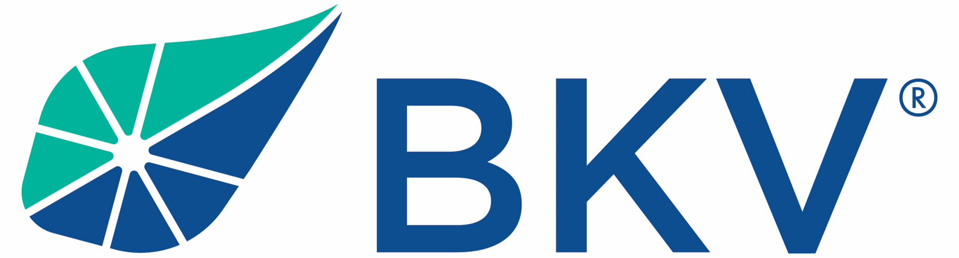 BKV Corp. and Comstock Resources Announce Collaboration Agreement to Accelerate Deployment of Carbon Capture Projects